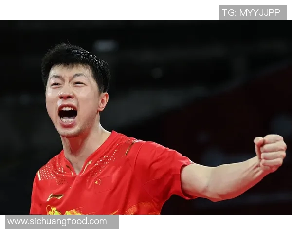 专访乒乓球明星刘磊揭秘他成功背后的训练与心路历程